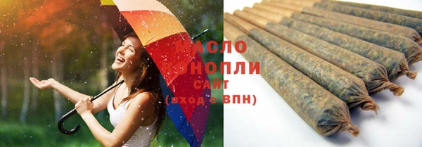 хмурый Рославль