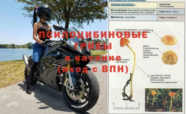 хмурый Пролетарск