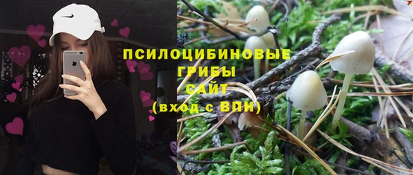 хмурый Рославль