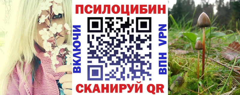 Псилоцибиновые грибы MAGIC MUSHROOMS блэк спрут маркетплейс Сергач цена
